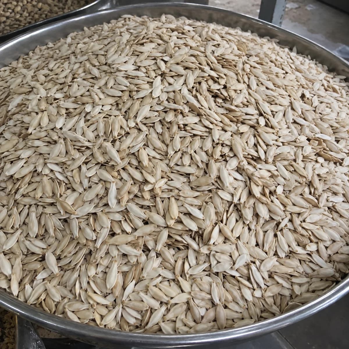 Bulk pale cream dried cucumber seeds in a stainless steel tray