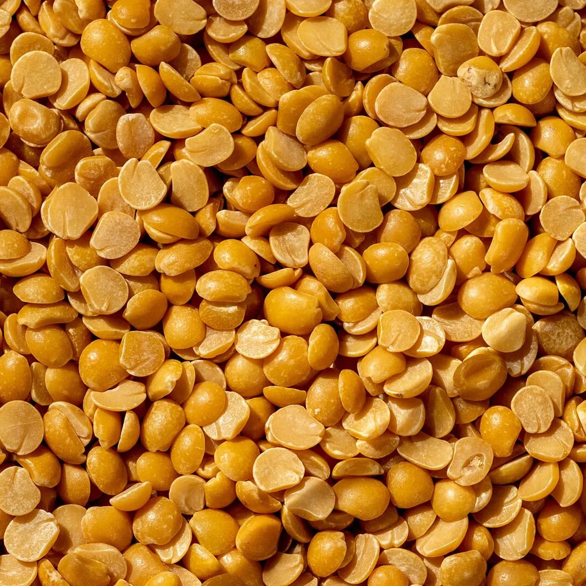 Arhar Dal (Toor / Pigeon Pea)