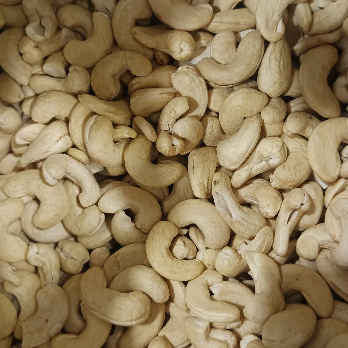 Cashews Plain (Kaju Sada)
