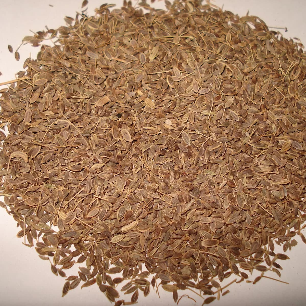 سویا (ڈِل کے بیج)