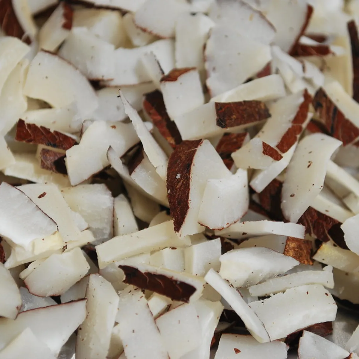 Dry Coconut Sliced