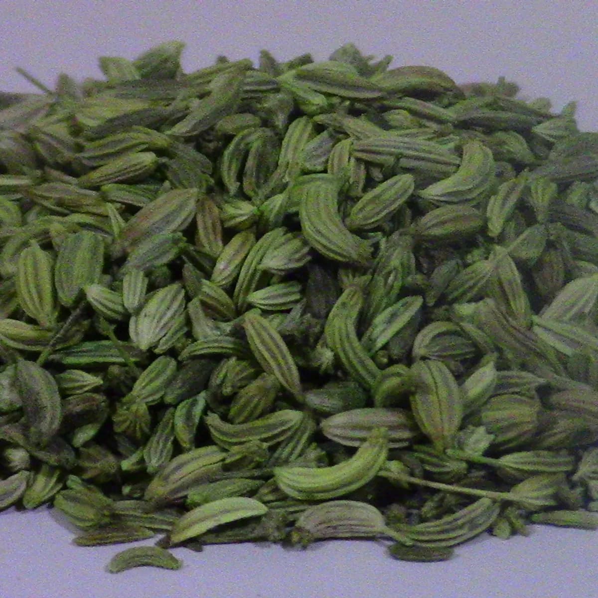 Fennel Seeds Moti (Big)