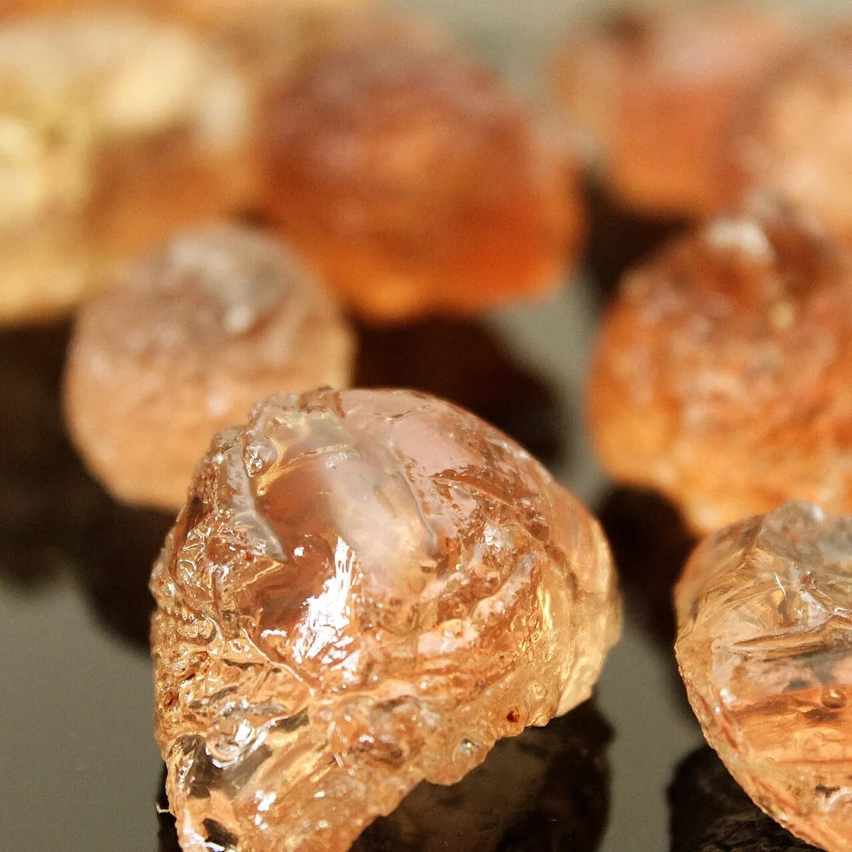 Gond Pilai (Babool Gum)