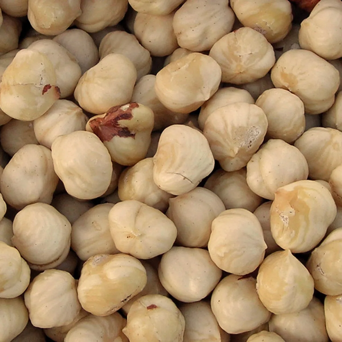 Hazelnuts