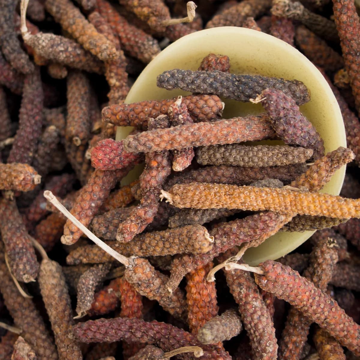 Long Pepper (Filfil Daraz / Maghaan)