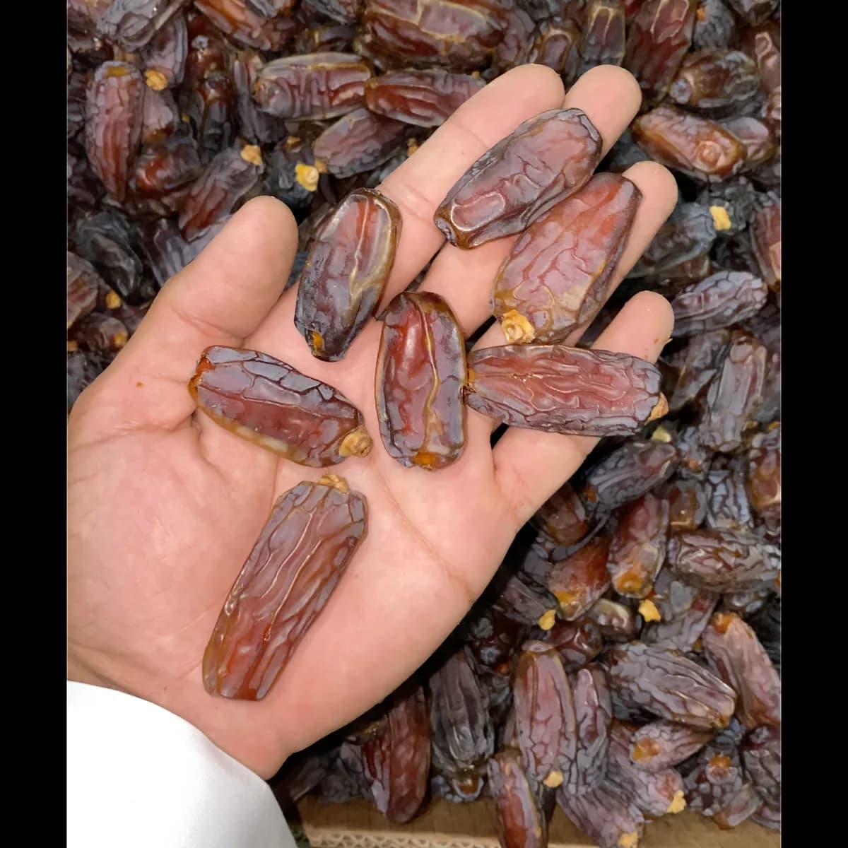 Mabroom Dates