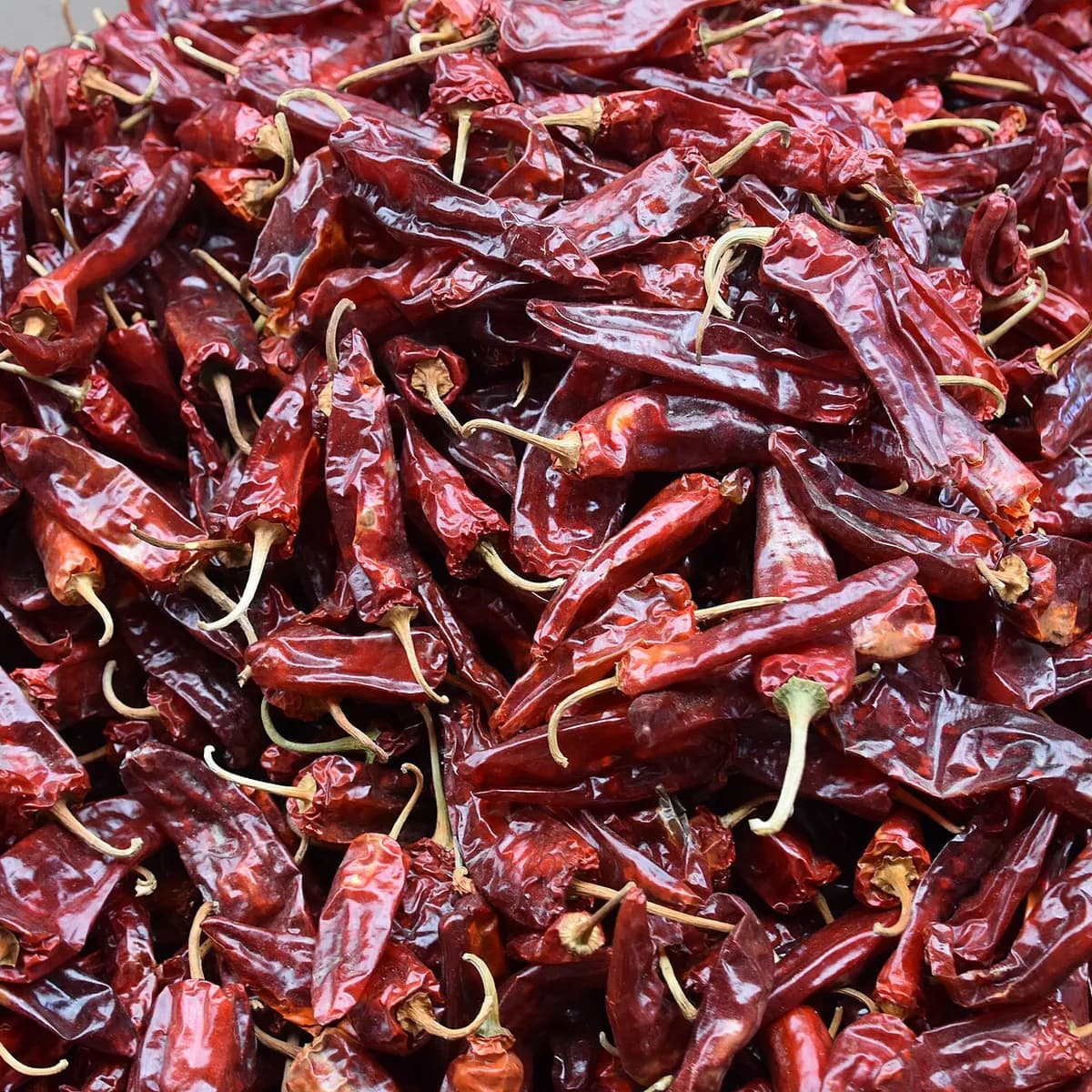 ثابت لال مرچ