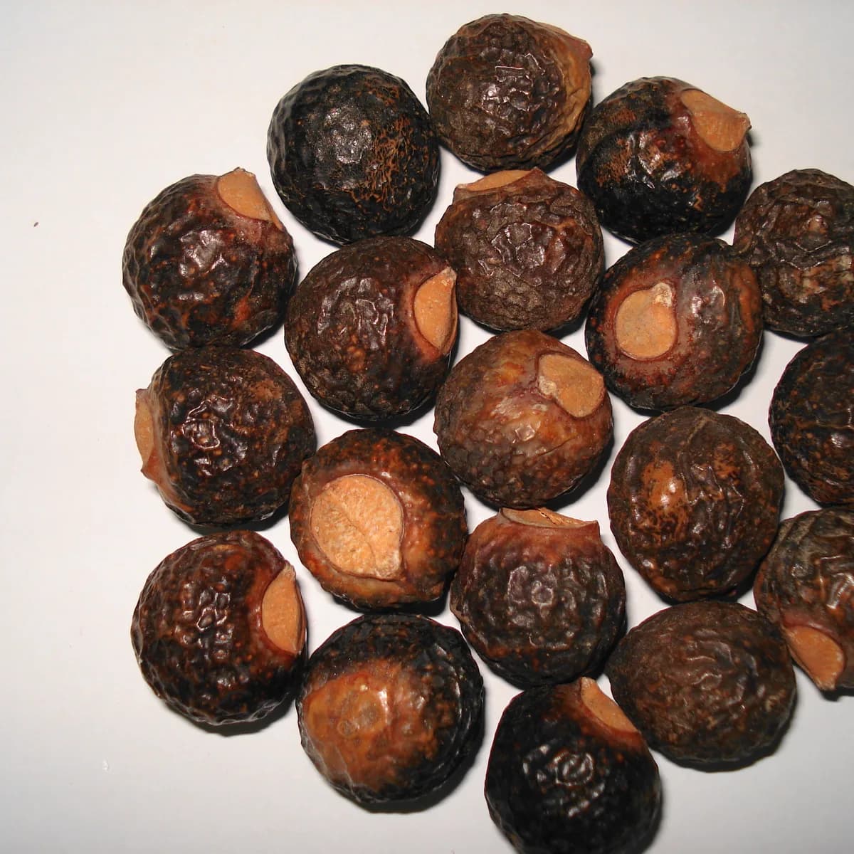 Reetha (Soapnut)