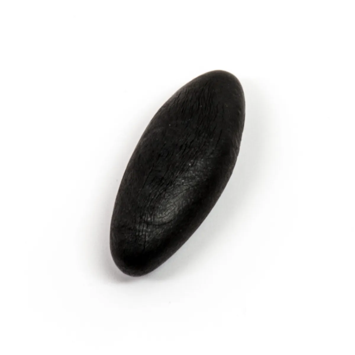 Shilajit (Salajeet)