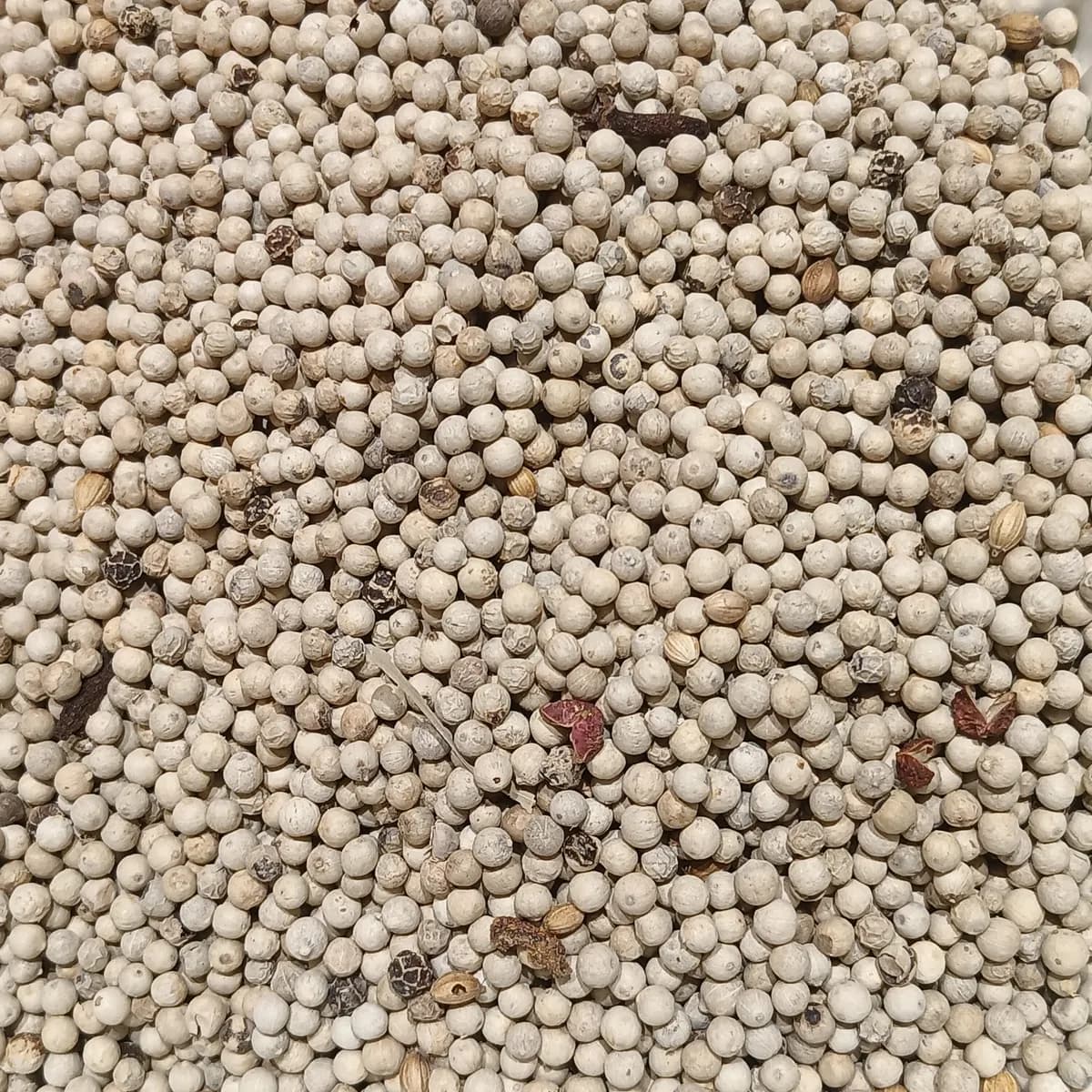 White Pepper Whole