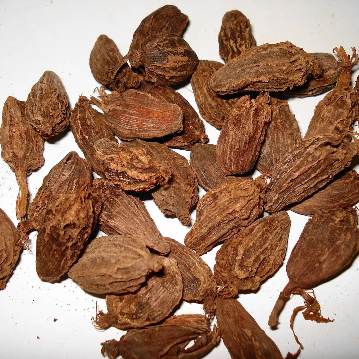 بڑی الائچی (انڈین)