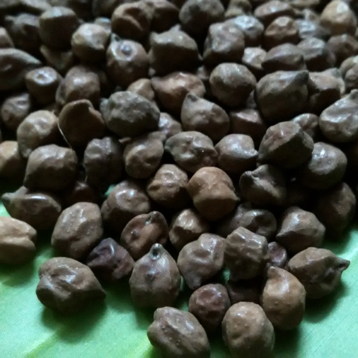 Black Chickpeas Mota