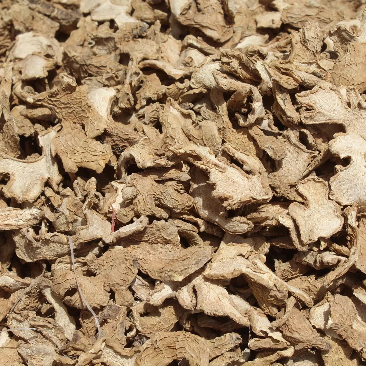 Dry Ginger Whole (Sonth)
