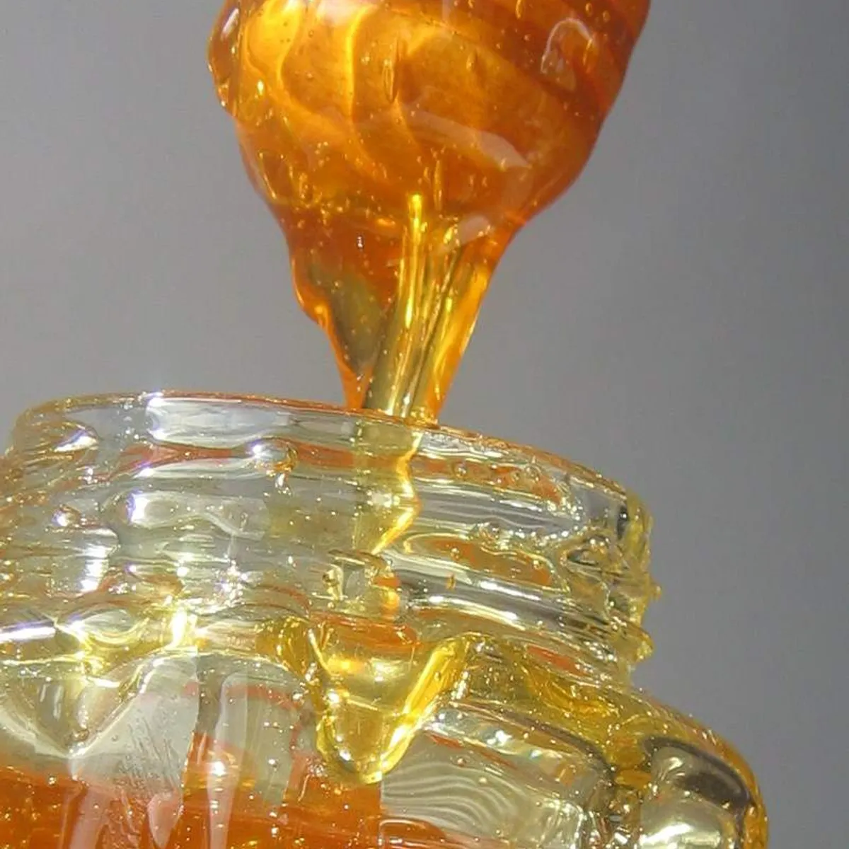 شہد (چھوٹی مکھی)