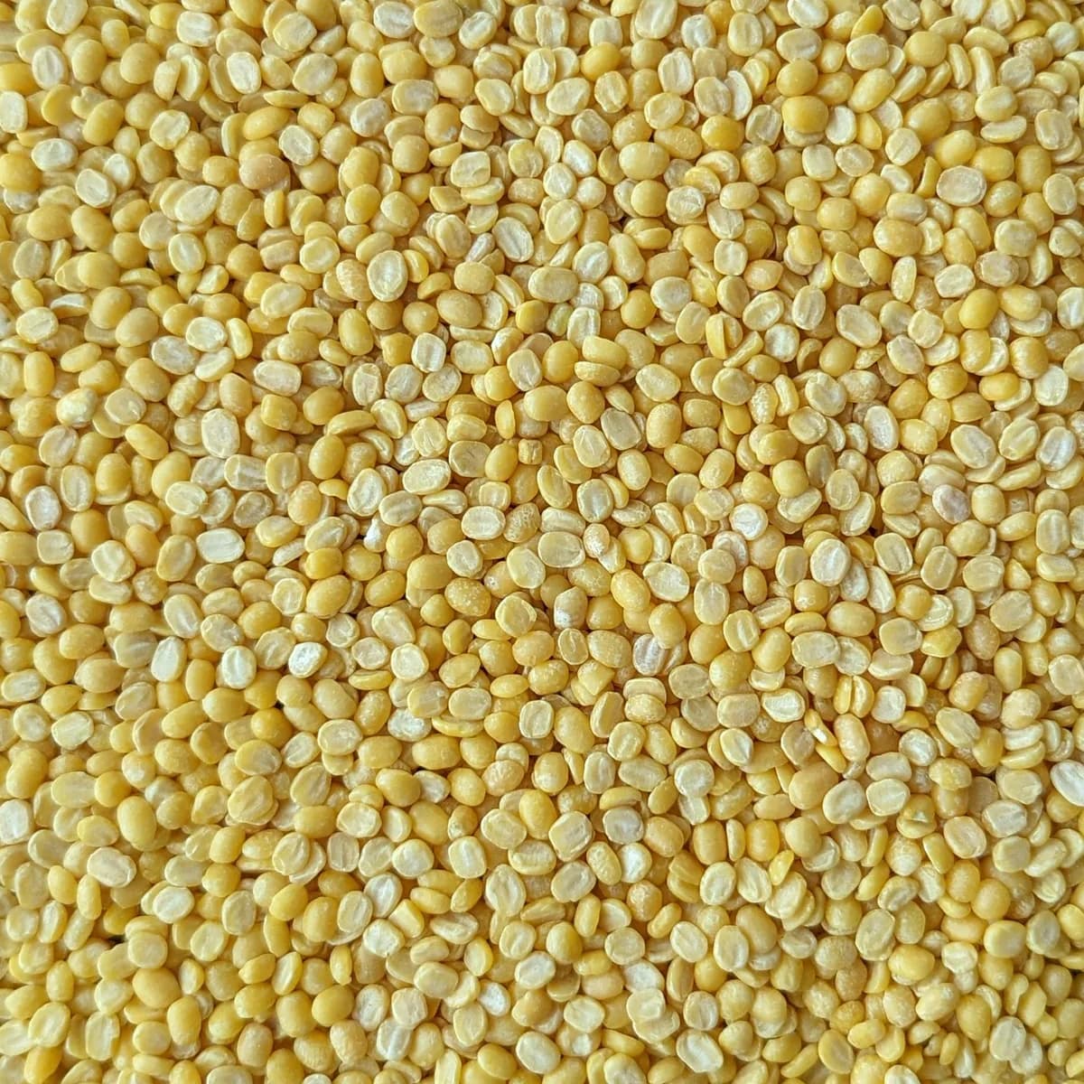 Moong Dal Washed (Dhuli)