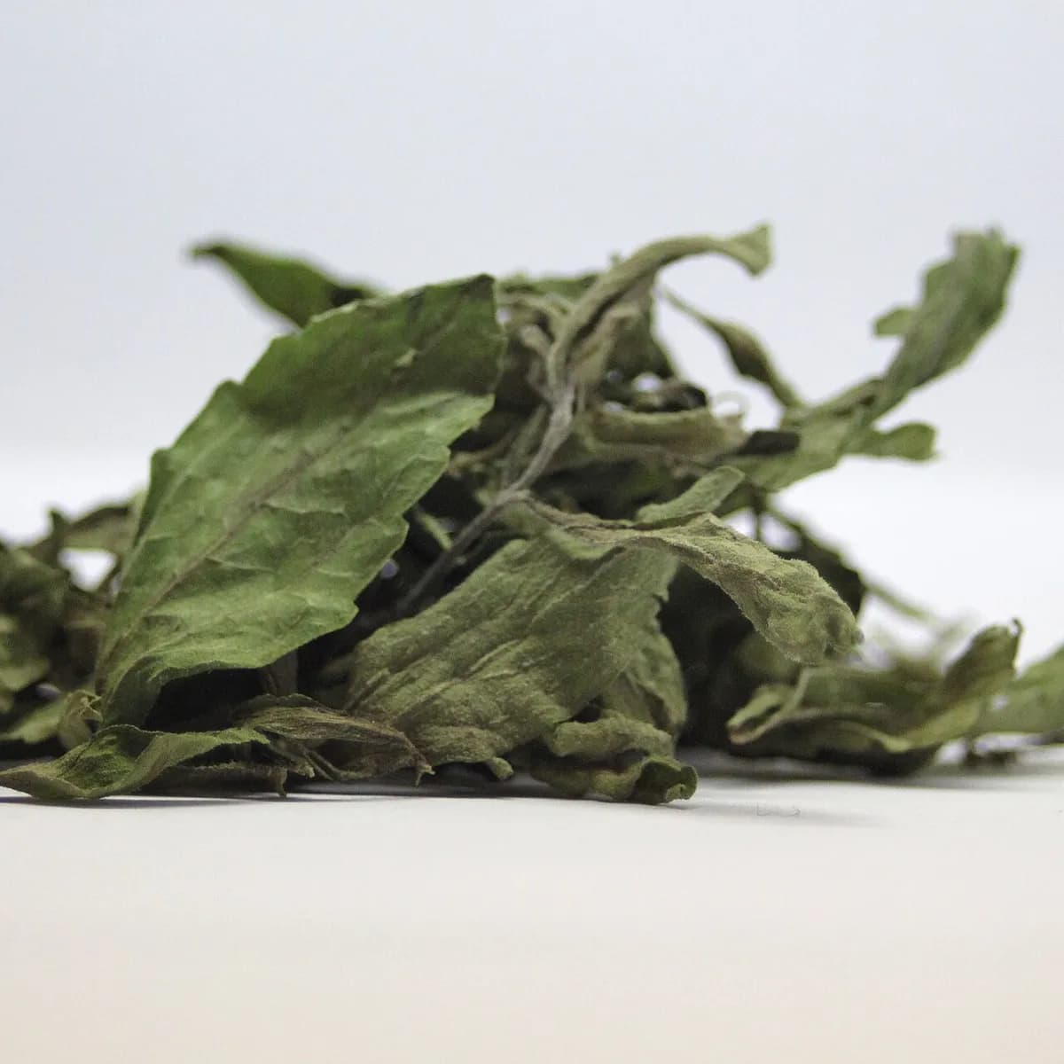 Stevia Leaves