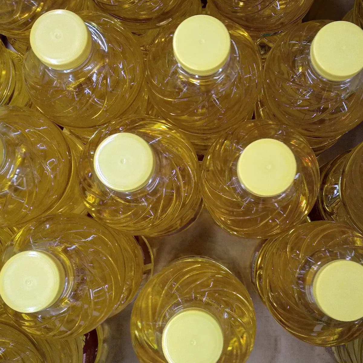 Sufi Canola Cooking Oil