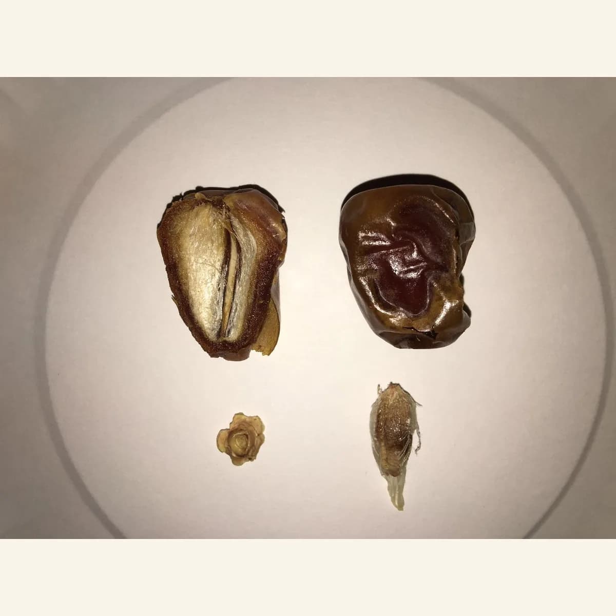 Sukri Dates