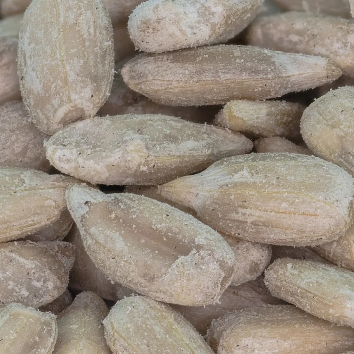 Sunflower Seed Kernels (Without Shell)